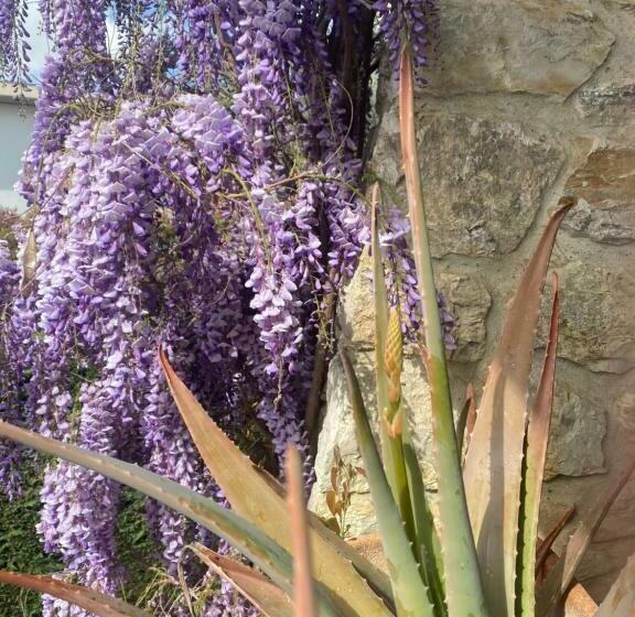 B&b Fior Di Toscana
