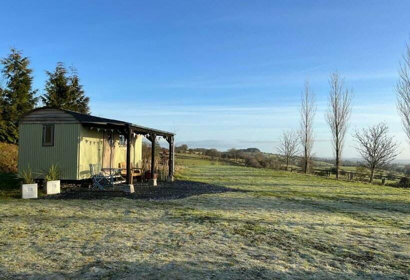 酒店 Pen Bryn Shepherd Hut