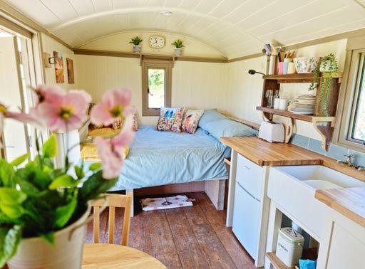 酒店 Pen Bryn Shepherd Hut