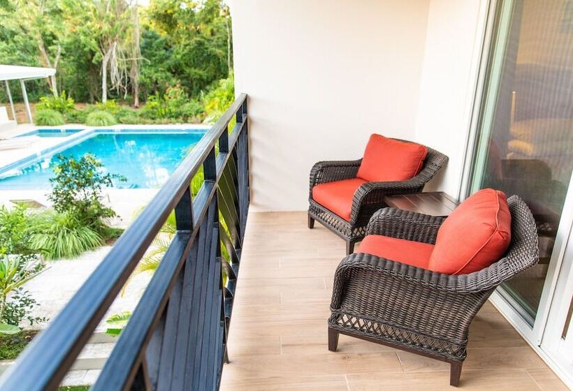 هتل Palm Beach Inn
