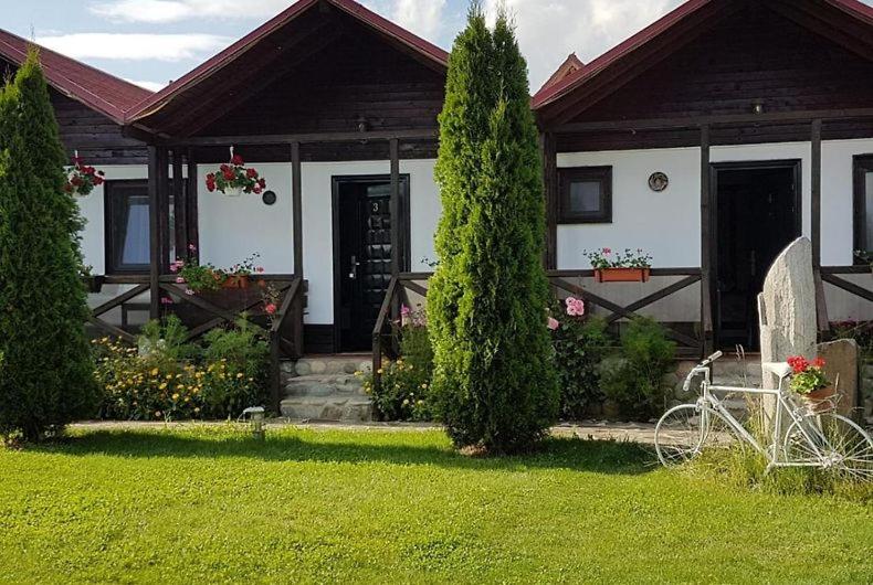 پانسیون Casa De Vacanța Valea Argesului