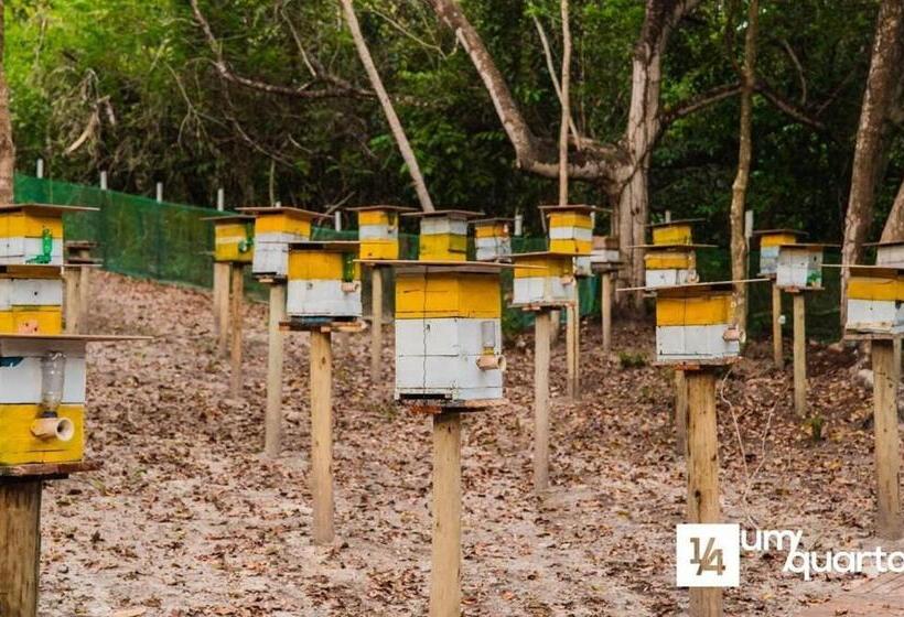 펜션 Ponta De Inhambupe Residences