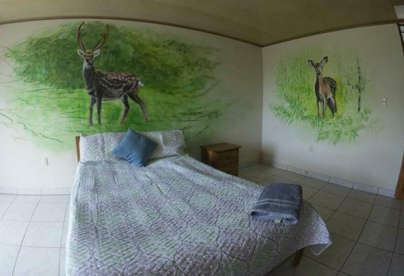 פנסיון La Tigra Mountain House