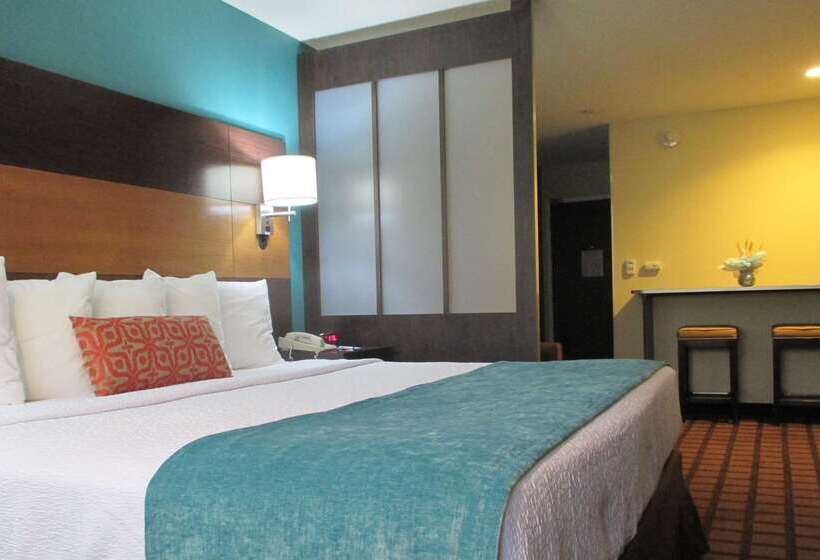 簡易ホテル Best Western Plus Harrisburg Mechanicsburg