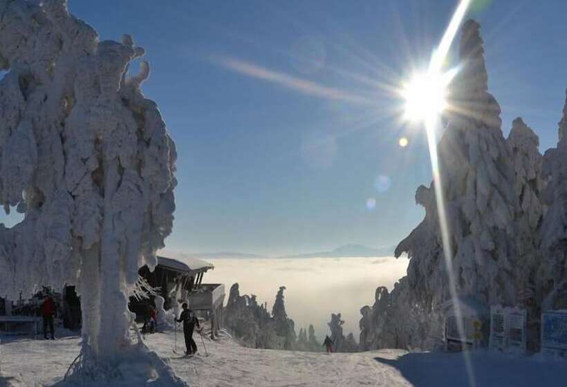 فندق Gasthof Fellner