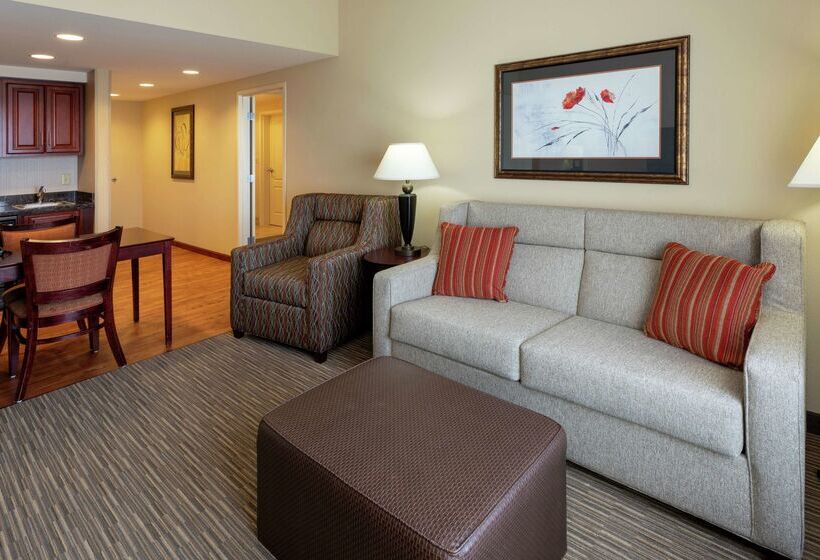 호텔 Homewood Suites By Hilton St Louis Park At West End