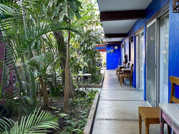 هتل Siesta Suites Boutique