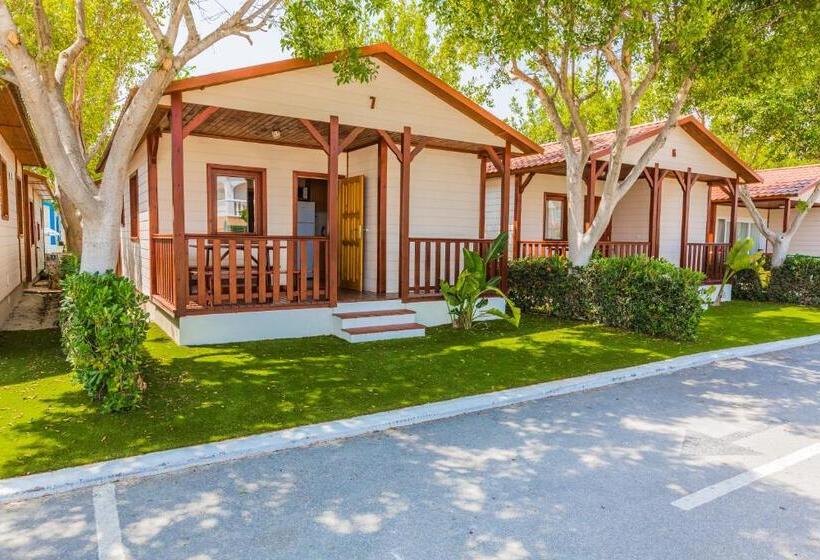 אתר נופש Alannia Guardamar