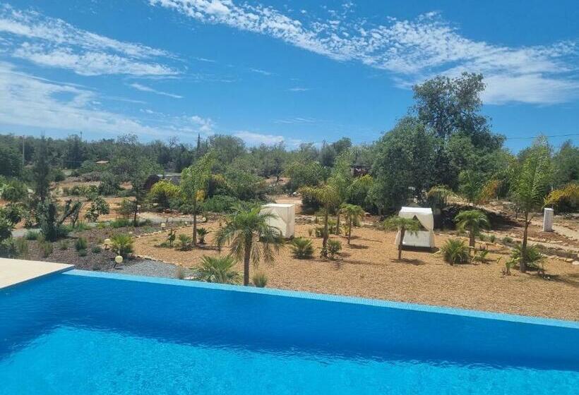 호텔 Cosy Guest House Villa Das Alfarrobas