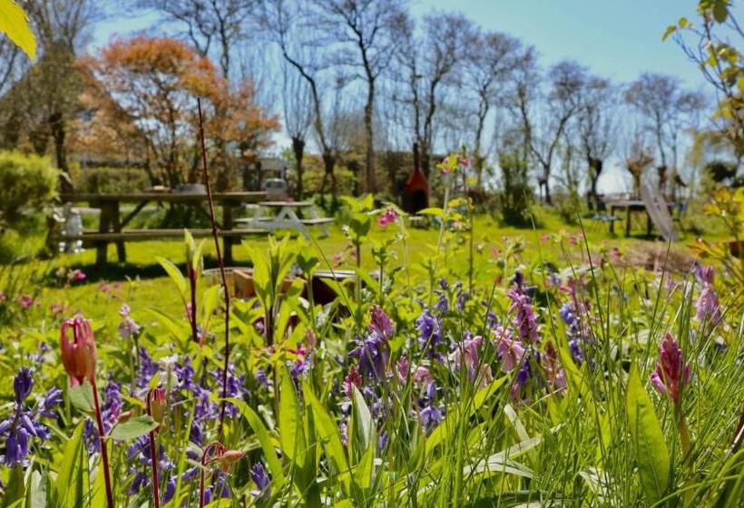 بنسيون De Witte Handt