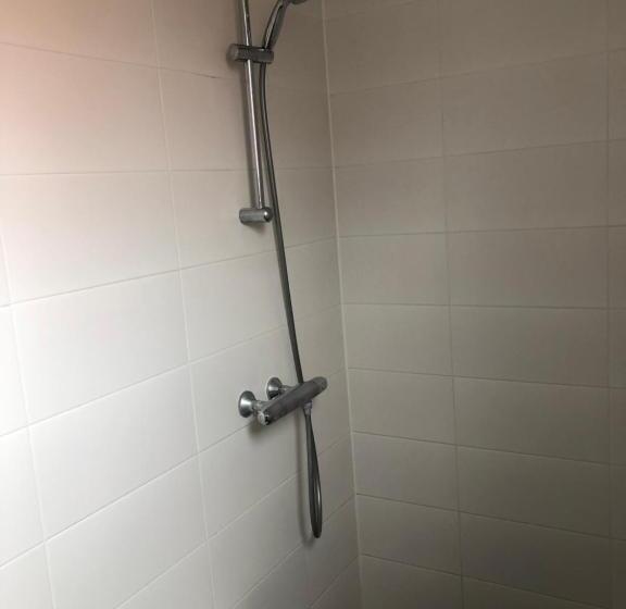 بنسيون De Witte Handt