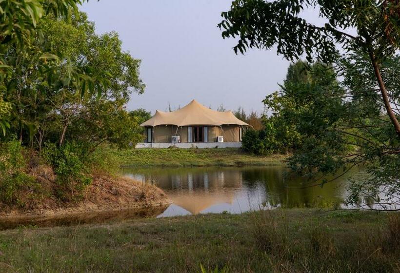 The Alampara Resort   Luxury Boutique Glamping & Water Sports