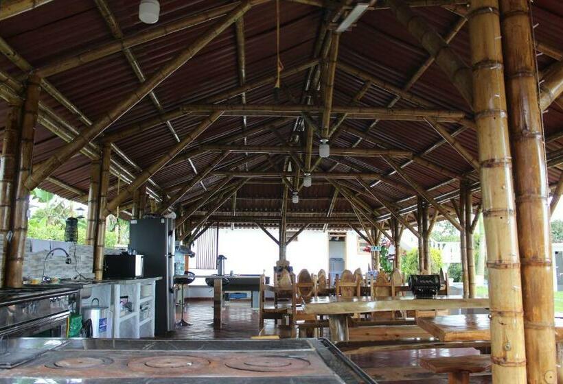 تختخواب و صبحانه Campestre Amathea