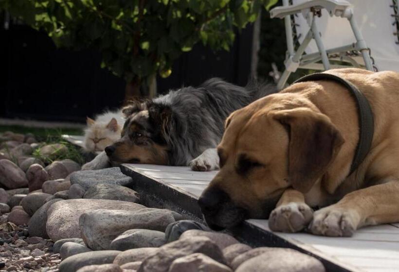 تختخواب و صبحانه Refugio Padma