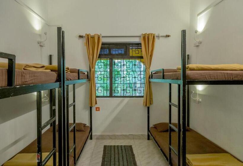 הוסטל Bunknbrew