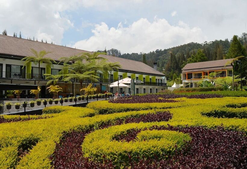 Mikie Holiday Resort &