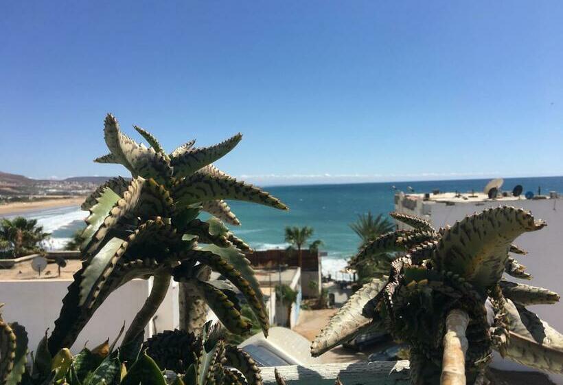 هاستل Ocean Surf Lodge