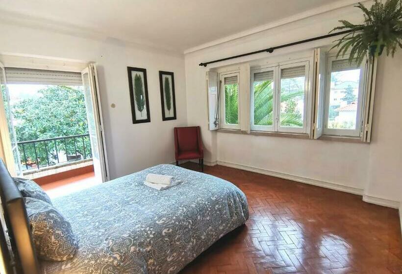 پانسیون Botanique Guesthouse