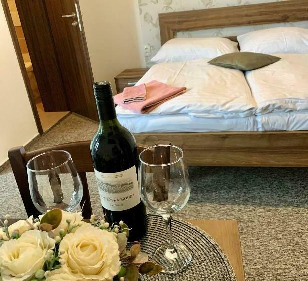 پانسیون Ubytování Selský Dvůr