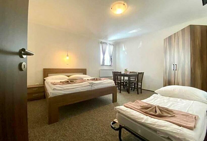 پانسیون Ubytování Selský Dvůr