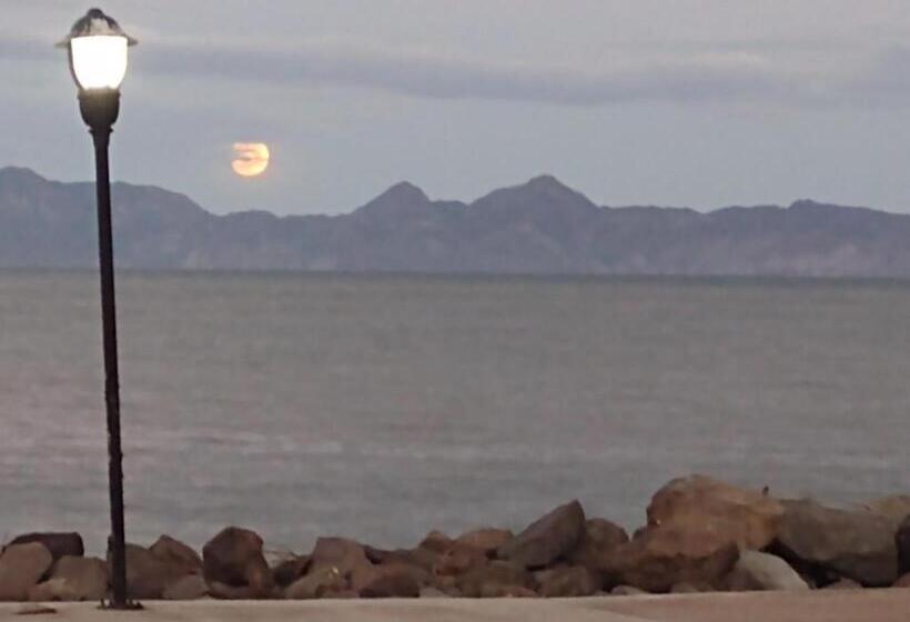 هتل Loreto Playa Boutique