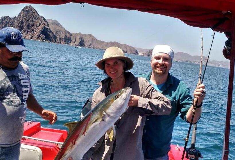 هتل Loreto Playa Boutique