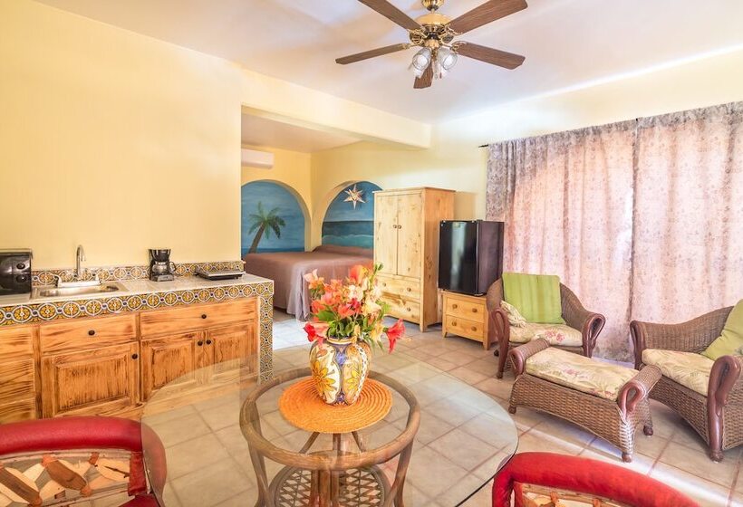 هتل Loreto Playa Boutique