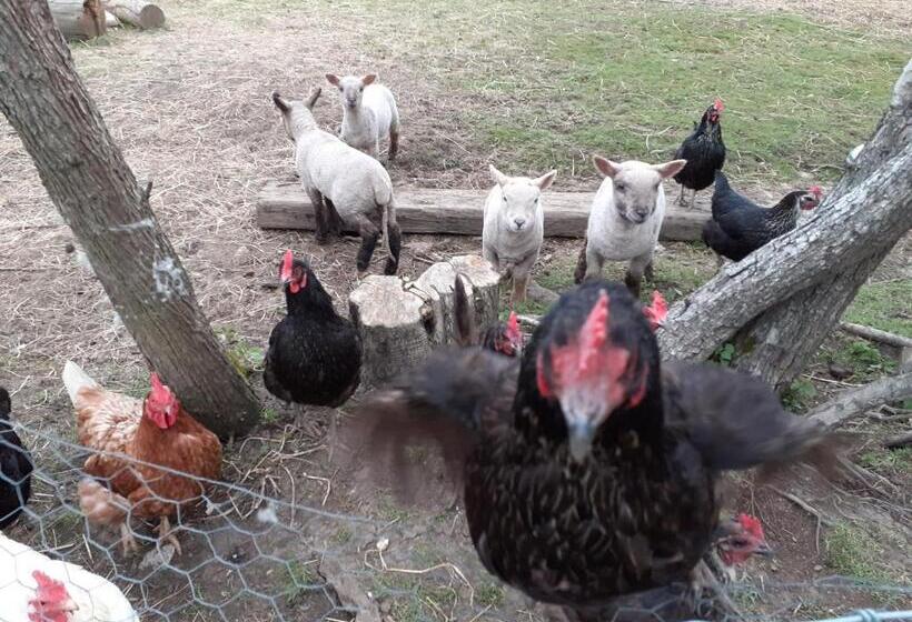 צימר The Byre North End Farm