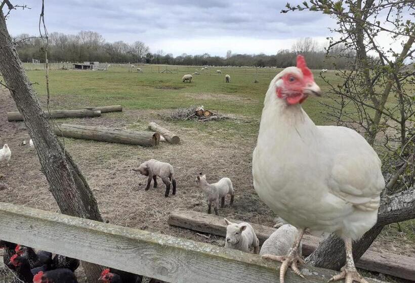צימר The Byre North End Farm