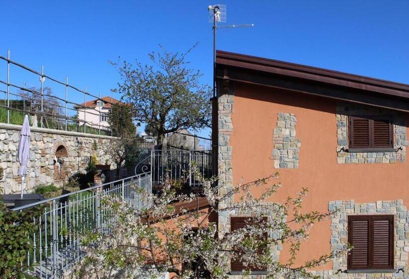 פנסיון The Chalet, Guest House