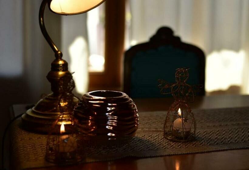 Общежитие Novalis Bed & Breakfast