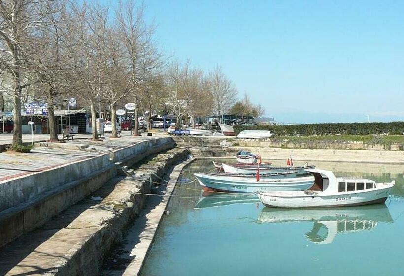 مبيت وإفطار Ali S Pension