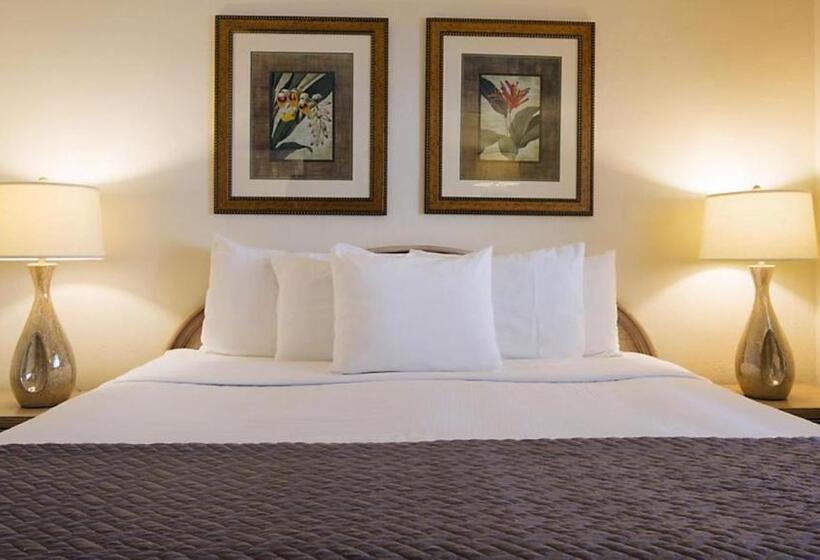 Resort Sixty Six