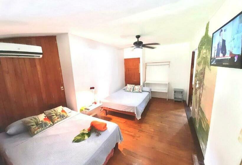 بنسيون Cabinas Flamingo