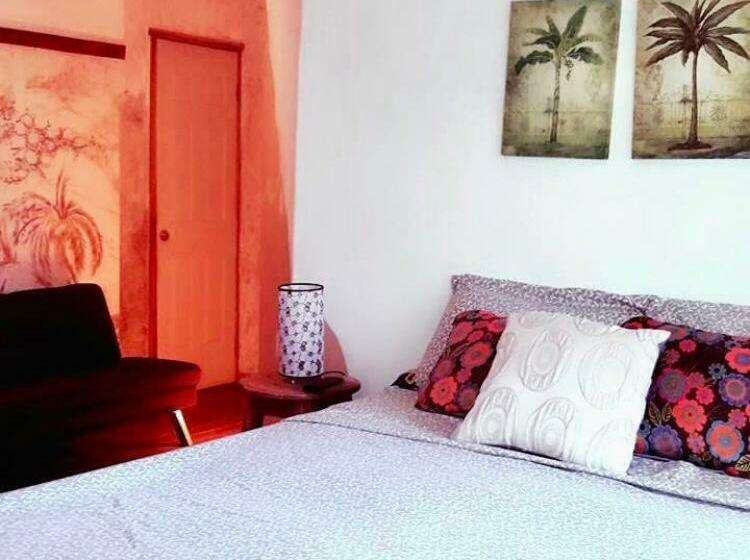 بنسيون Cabinas Flamingo