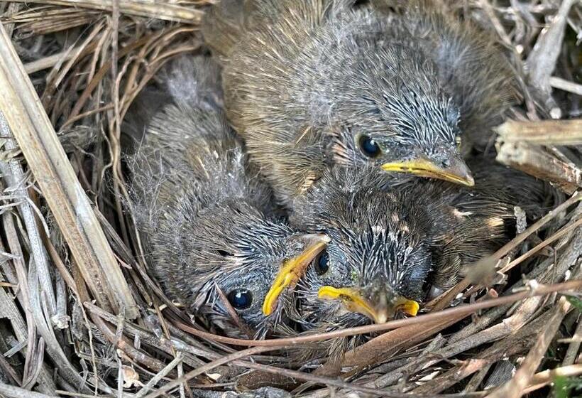 בית מלון כפרי Family In The Hills By Nature S Glamping