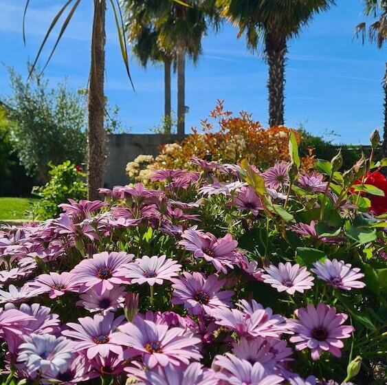تختخواب و صبحانه Villa Martinus