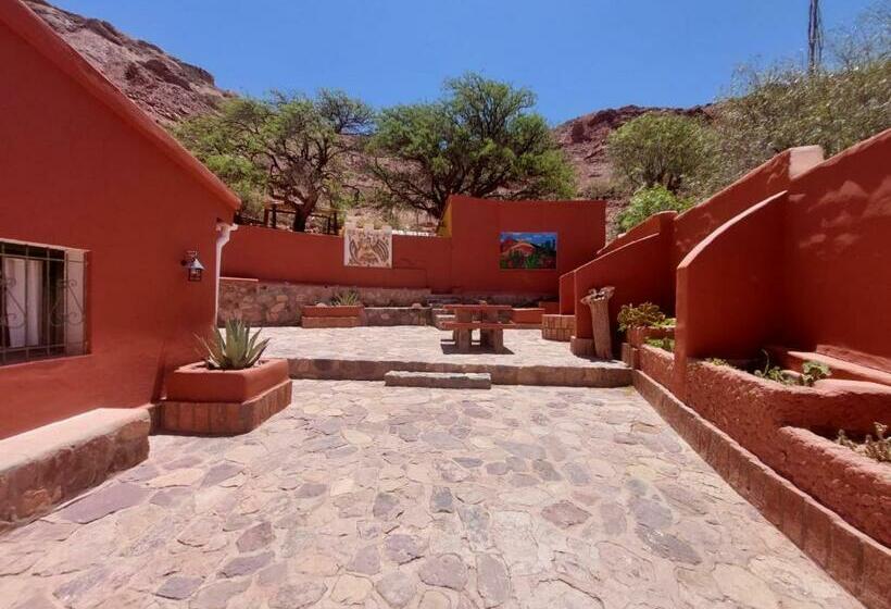 فندق Cactus Cerro