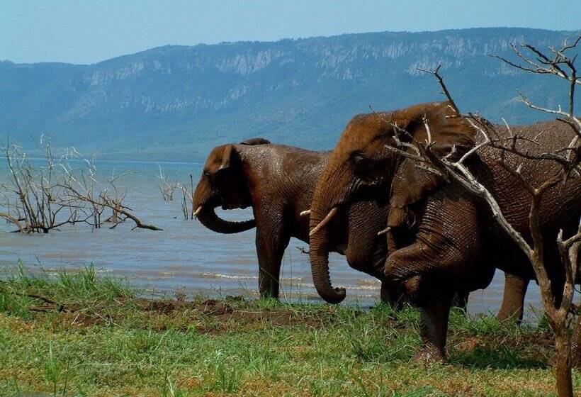 White Elephant Safaris