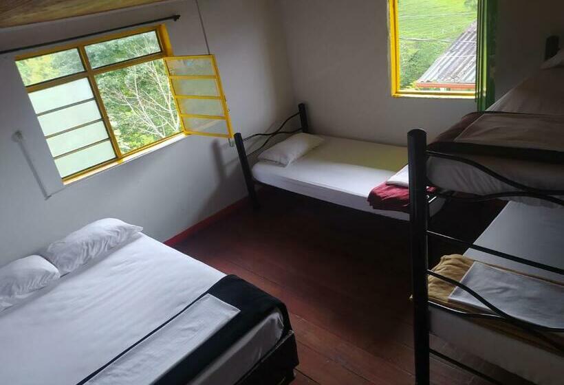 پانسیون Palma De Cera Hostal