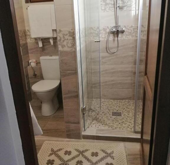 Pensiunea Plai Strabun