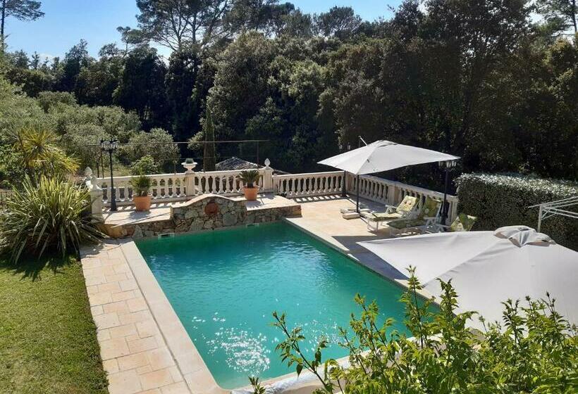 تختخواب و صبحانه Villa Xanadu