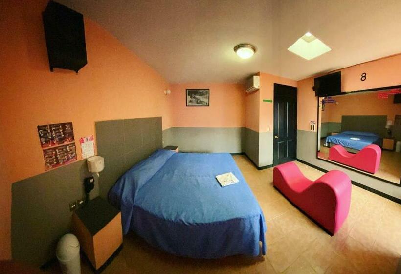 Motel Flamingos