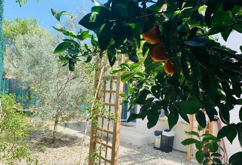 تختخواب و صبحانه L’olivier De Manel