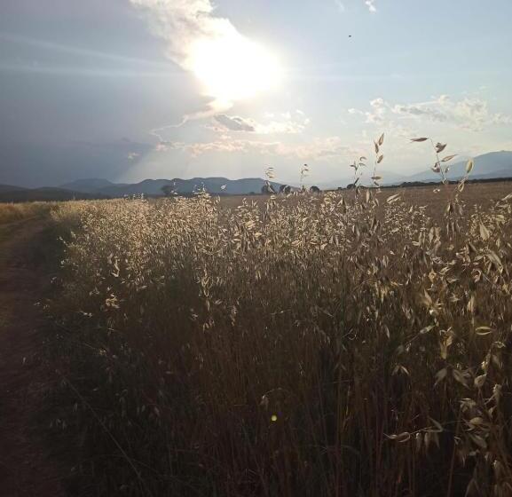 پانسیون La Terraza