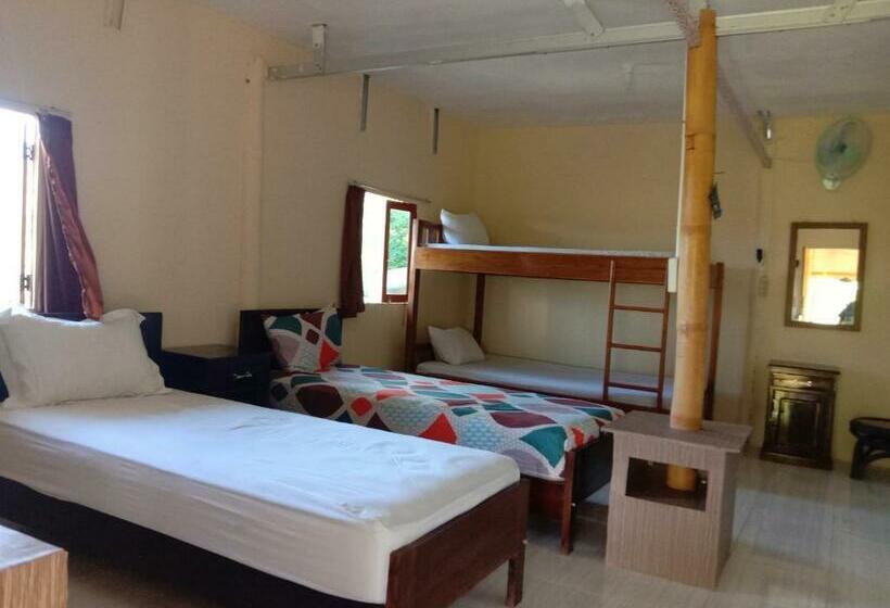 Общежитие Tarsan Homestay