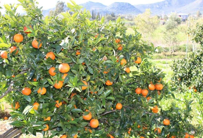 צימר Le Querce