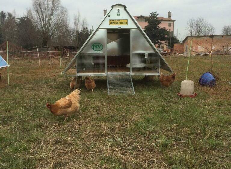 Отель Pecore Ribelli