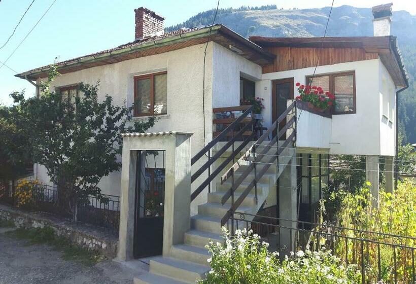 Пансион Guest House Denitsa