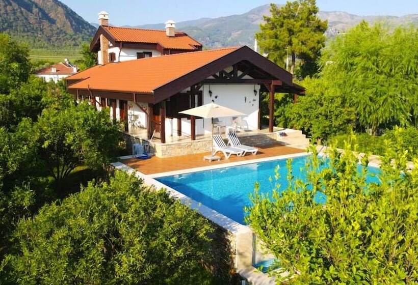 پانسیون Mandarin Guesthouse   Adult Only